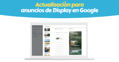 Display Google Update