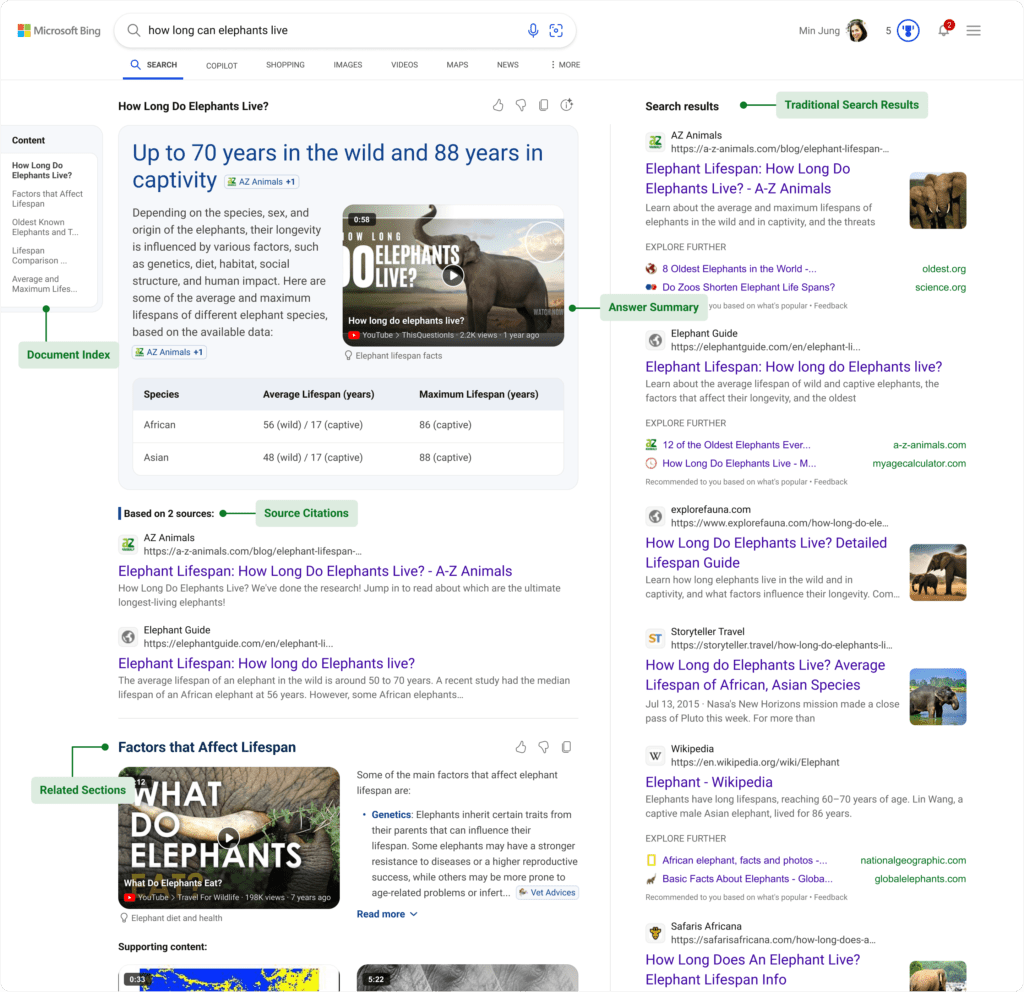 Bing Search IA