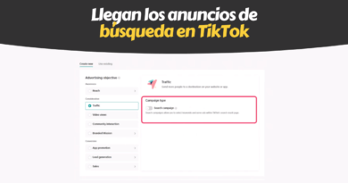 TikTok Search Ads