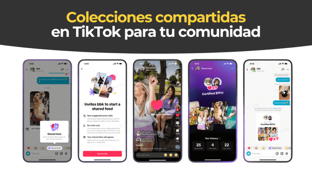 Feed Compartido TikTok
