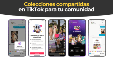 Feed Compartido TikTok