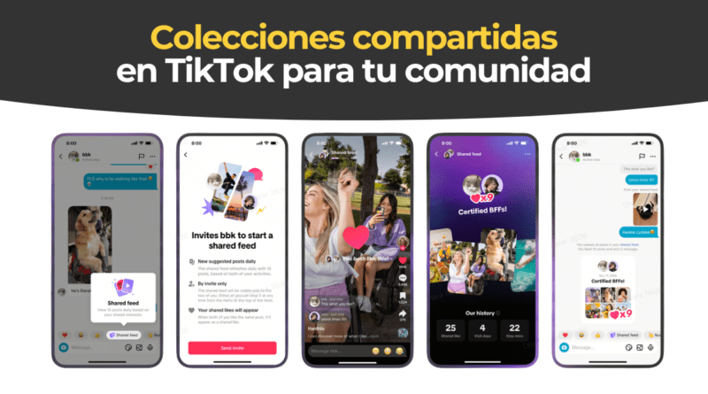 Feed Compartido TikTok