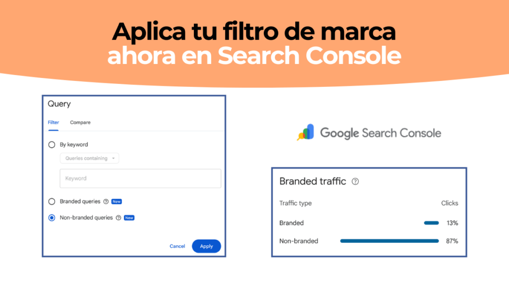 Brand Google Search Console