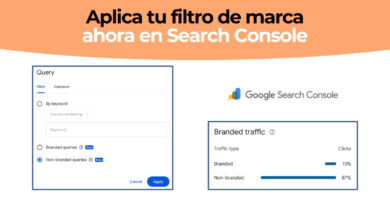 Brand Google Search Console