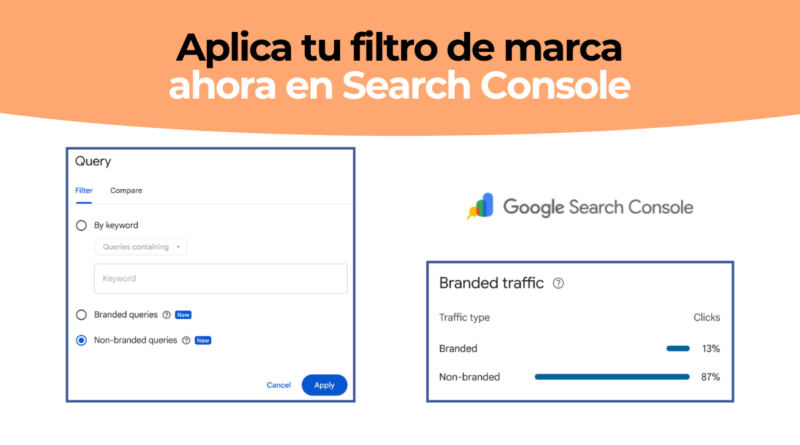 Brand Google Search Console