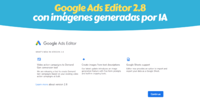Editor de Google Ads Versión 2.8