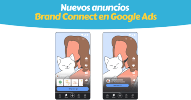 BrandConnect Google Ads