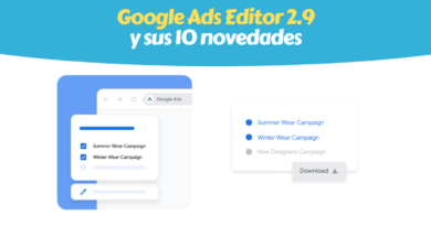 Editor Google Ads 2.9