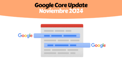 Core Update November 2024