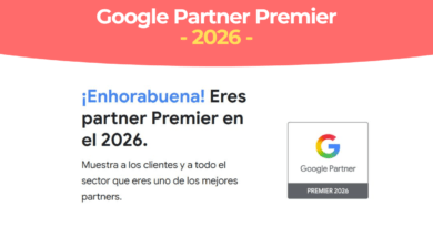 Insignia Partner Google 2026