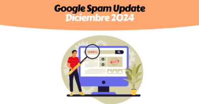 Spam Update December 2024