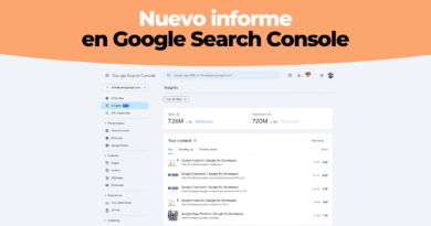 Google Search Console Report
