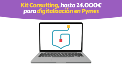 Subvención Kit Consulting