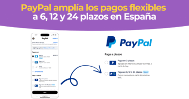 PayPal 12 meses