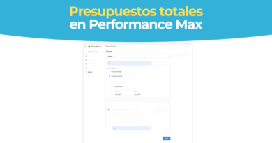 Total Budget PMax