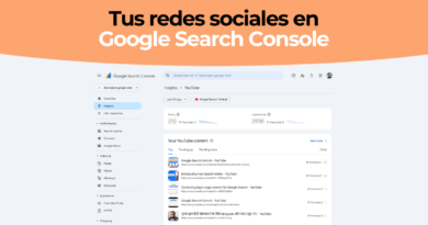 Social Media Google Search Console