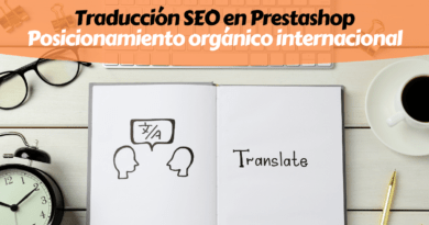 SEO Internacional