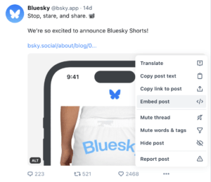Interfaz de Bluesky